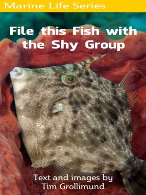 cover image of File this Fish with the Shy Group